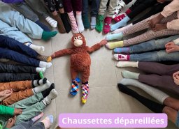 Actions solidaires chez les Ouistitis